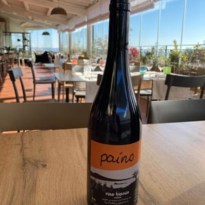 Paino - Le Coste - clementine-bouveron-gianmarco-antonuzi
