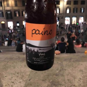 Paino 2016