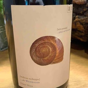 Weinbergschnecke - Pinot Noir Rosé - Weingut Andreas & Elisabeth Tscheppe - Andreas & Elisabeth Tscheppe 