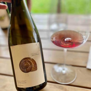 Weinbergschnecke Rose 2017