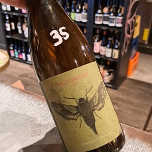 Weinschwärmer - 2 Naturkinder - melanie-drese-michael-volker -2019