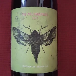 Weinschwärmer - 2 Naturkinder - Melanie Drese & Michael Völker -2019