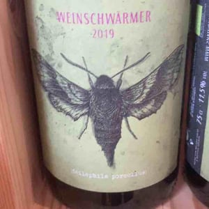 Weinschwärmer - 2 Naturkinder - Melanie Drese & Michael Völker -2019