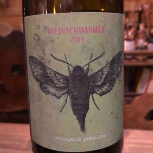 Weinschwärmer - 2 Naturkinder - Melanie Drese & Michael Völker -2019