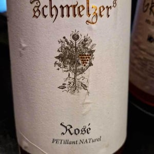 Weissburgunder - Schmelzers Weingut - georg-elisabeth-schmelzer
