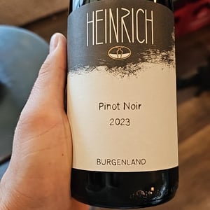 Weissburgunder Leithaberg - Weingut Heinrich - Gernot & Heike Heinrich -2023