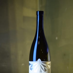 Weissburgunder - Weingut Ploder Rosenberg - Manuel Ploder & Selina Weratschnig 