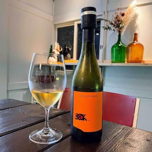Weissburgunder - Weingut Beck - judith-beck