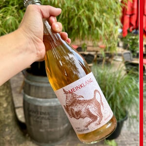 Weisser Mulatschak - Meinklang - Weingut Michlits - angela-werner-michlits -2020