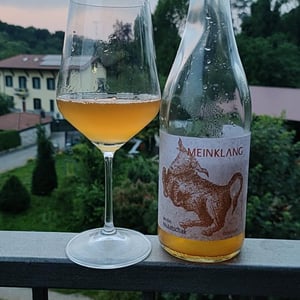 Weisser Mulatschak - Meinklang - Weingut Michlits - angela-werner-michlits -2020