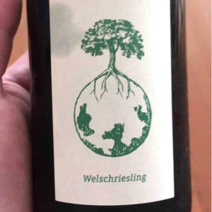 Welschriesling 2017