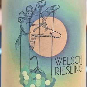 Welschriesling - Weingut Andreas Gsellmann - Andreas Gsellmann -2024
