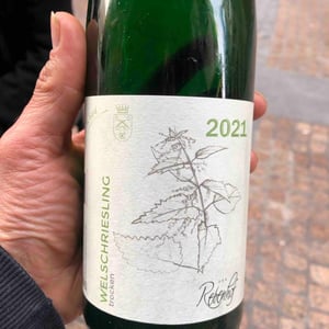 Welschriesling - Weingut Rebenhof - Hartmut Aubell 