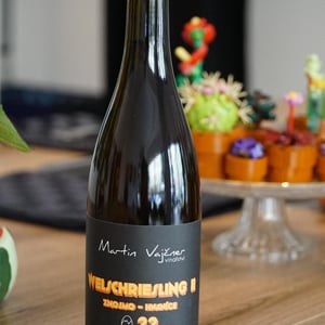 Welschriesling - Martin Vajčner - martin-vajcner
