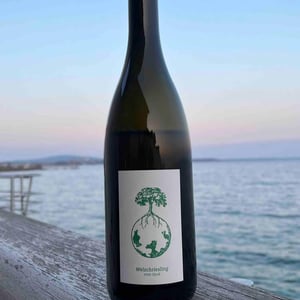 Welschriesling - Weingut Werlitsch - Ewald & Brigitte Tscheppe 