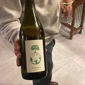 Welschriesling vom Opok 22 - Weingut Muster - Maria & Sepp Muster