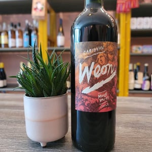 Weon - Viña Maitia - david-marcel-loreto-garau