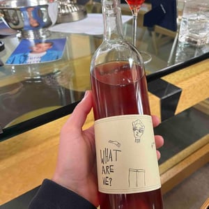 What are We ? - Swick Wines - joe-swick