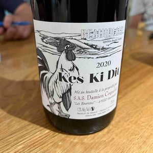 Kes Ki Dit - Damien Coquelet - Damien Coquelet 