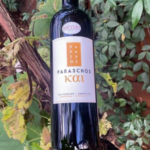 Kai - Paraschos - evangelos-alexis-jannis-paraschos