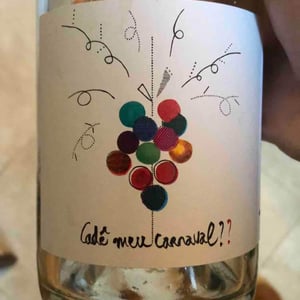 Cade Meu Carnaval?? - Les Valseuses - Antoine & Julia Le Court-Chedevergne 