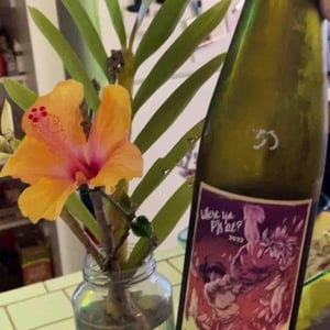 Where's your Pj's at - Thistle Vineyard of The Dundee Hills AVA - ross-bee-maloof -2021