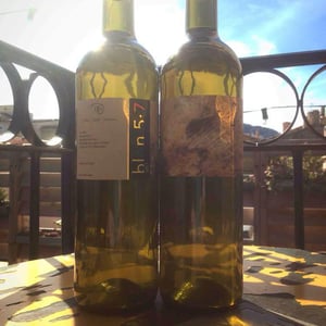 blan 5.7 - Celler Jordi Llorens - Jordi Llorens 