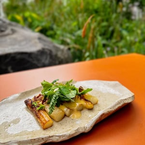 White Asparagus - LEUCHTENDROTER - 627888