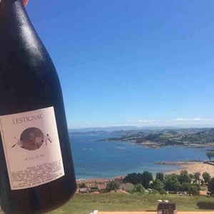 Blanc de Bal - Château Lestignac - Camille & Mathias Marquet 
