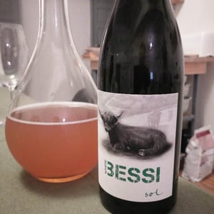 White Bessi - Sol - Michael Gindl 