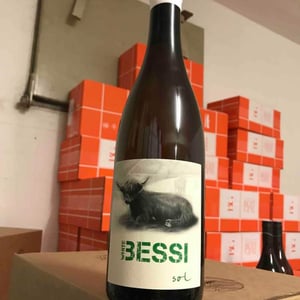 Sol - Michael Gindl - White Bessi