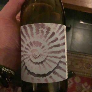 Vale da Capucha - Pedro Marques - Fossil Branco