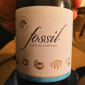 Vale da Capucha - Pedro Marques - Fossil Branco