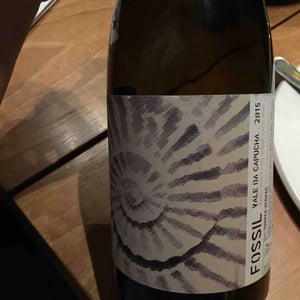 Vale da Capucha - Pedro Marques - Fossil Branco