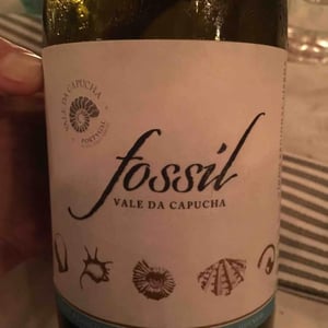 Vale da Capucha - Pedro Marques - Fossil Branco