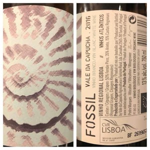 Vale da Capucha - Pedro Marques - Fossil Branco