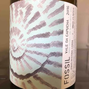 Vale da Capucha - Pedro Marques - Fossil Branco