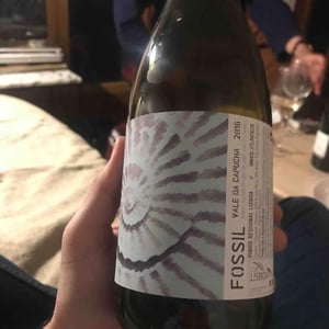 Vale da Capucha - Pedro Marques - Fossil Branco
