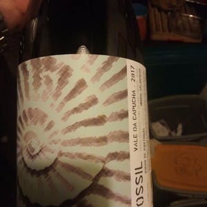 Vale da Capucha - Pedro Marques - Fossil Branco