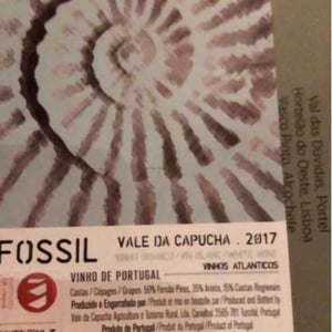 Vale da Capucha - Pedro Marques - Fossil Branco