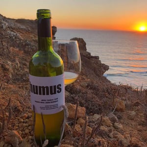 Humus Branco - Quinta do Paço (Humus) - rodrigo-filipe