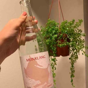Weisser Mulatschak - Meinklang - Weingut Michlits - angela-werner-michlits -2020
