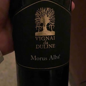 Morus Alba - Vignai da Duline - lorenzo-mocchiutti-federica-magrini