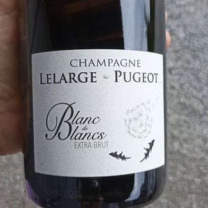 Blanc de Blancs - Champagne Lelarge Pugeot - famille-lelarge