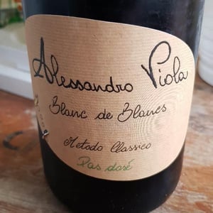 Blanc de Blancs - Azienda Agricola Alessandro Viola - alessandro-viola