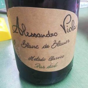 Blanc de Blancs - Azienda Agricola Alessandro Viola - alessandro-viola