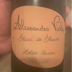 Blanc de Blancs - Azienda Agricola Alessandro Viola - alessandro-viola
