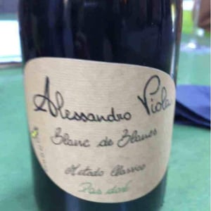 Blanc de Blancs - Azienda Agricola Alessandro Viola - alessandro-viola