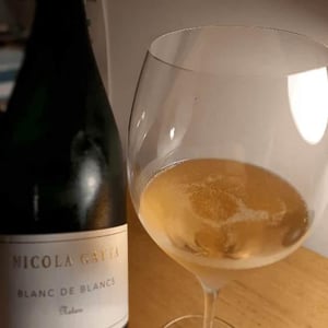 Nicola Gatta - Metodo Classico - Nicola Gatta - Blanc De Blancs