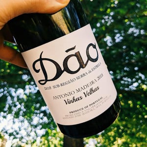 Vinhas Velhas Branco - António Madeira - antonio-madeira